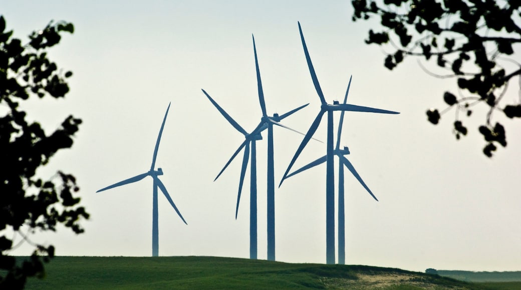 Ainsworth which includes tranquil scenes