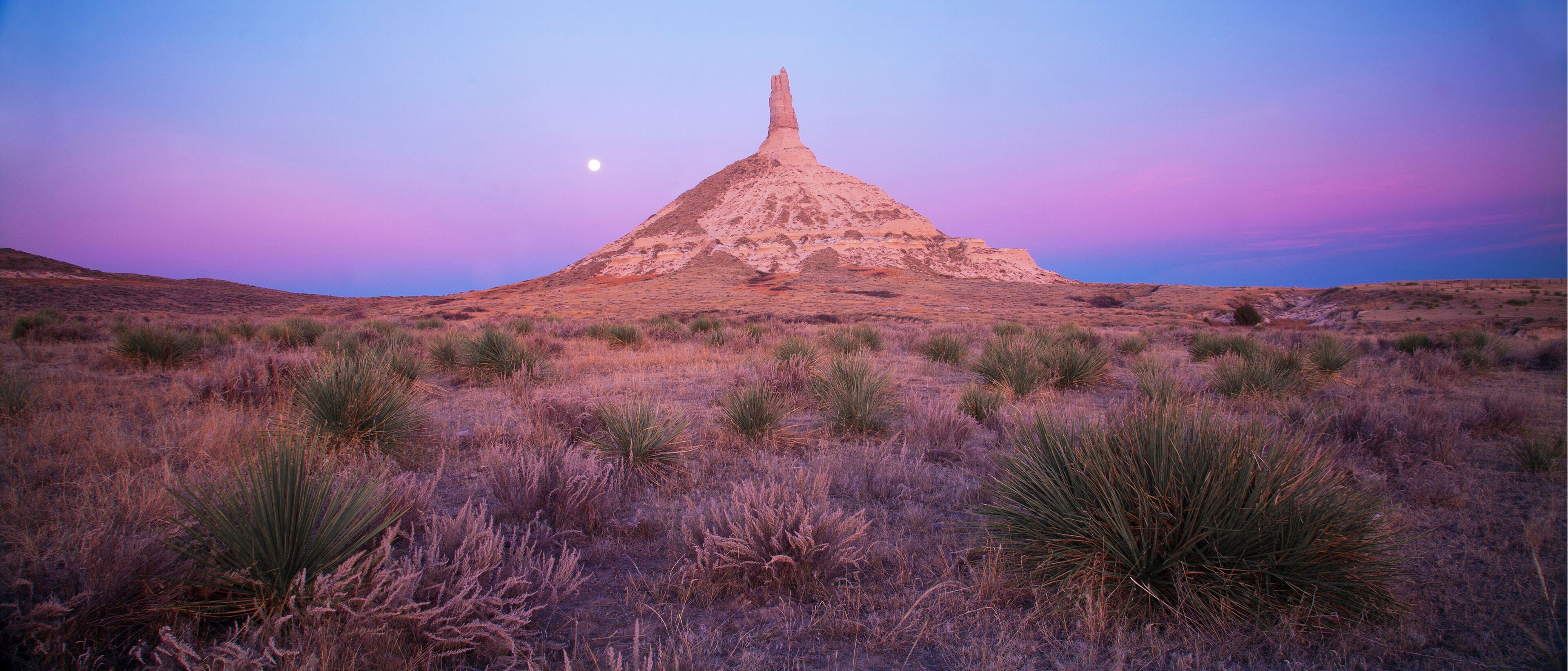 A desert landscape with a prominent mesa in the center, surrounded by sparse vegetation.