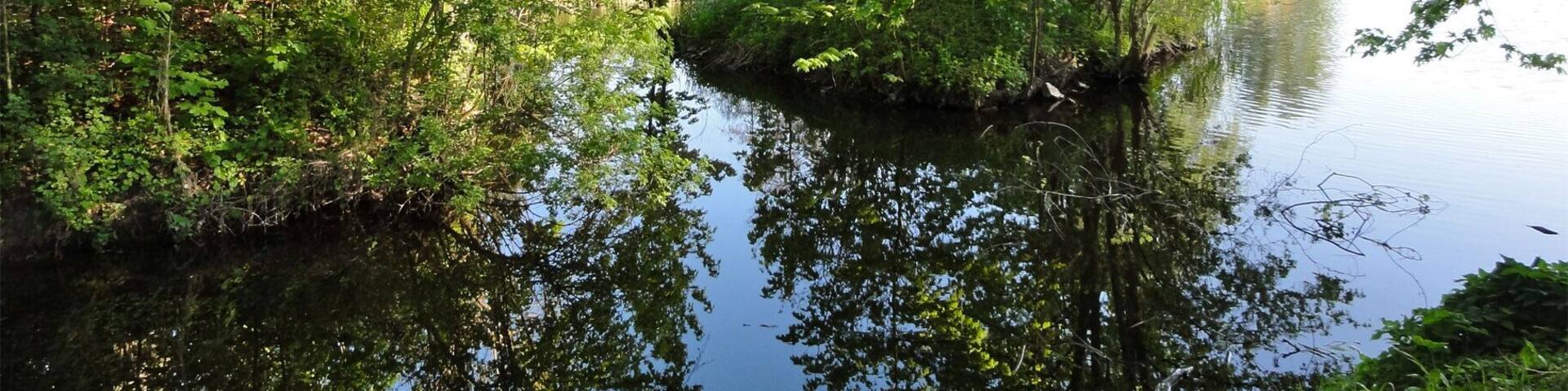 Restant omwalling Nieuweschans