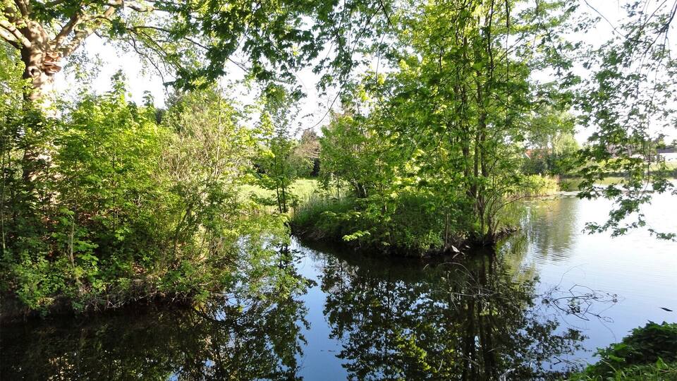 A calm river surrounded by dense green foliage and trees reflecting in the water.