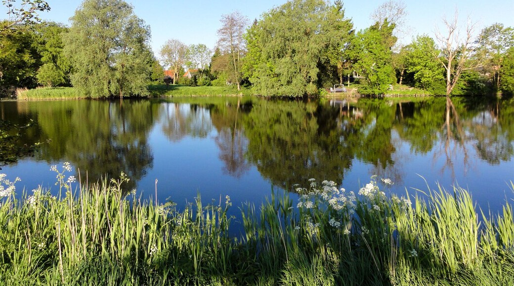 Restant vestinggracht Nieuweschans
