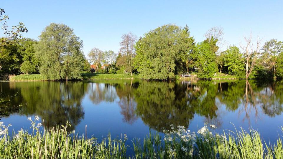 A calm lake surrounded by trees and greenery.