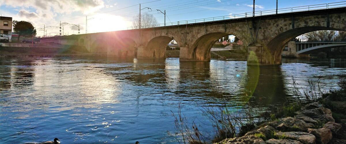 A stone bridge over a river with ducks swimming.