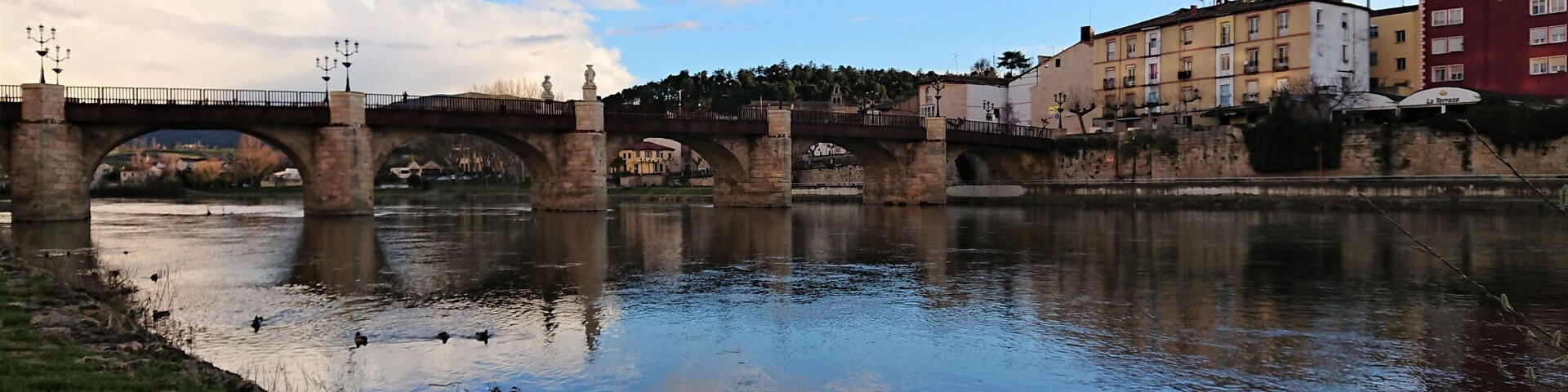 Ducks in the blue river at Miranda de Ebro, Spain.
Miranda de Ebro is a city in Spain, located in the north of the country, in the Comarca Valle del río Ebro.