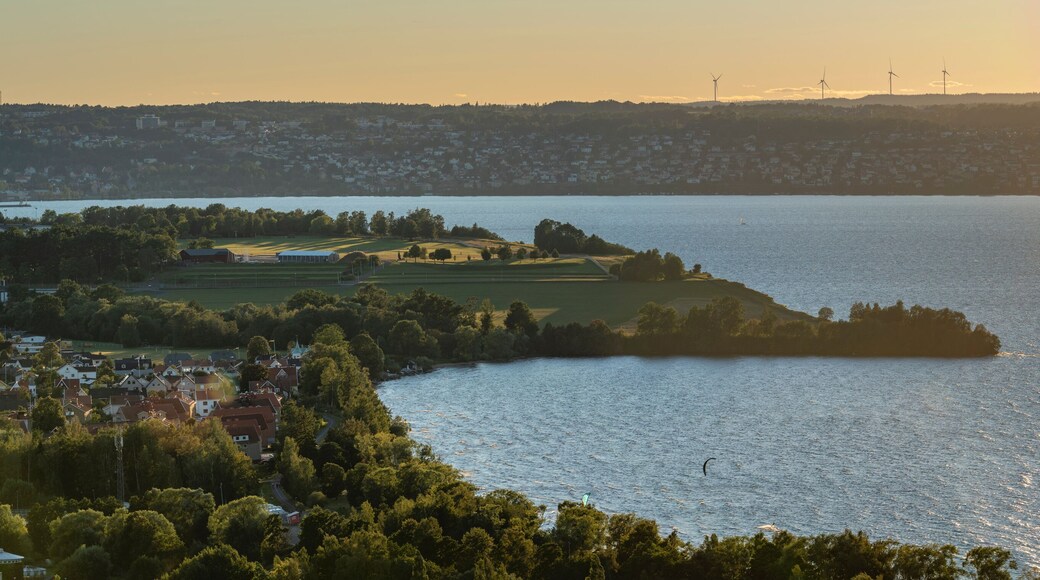 Detail Panorama Sunset view of nature reserve Rosenlundsbankarna