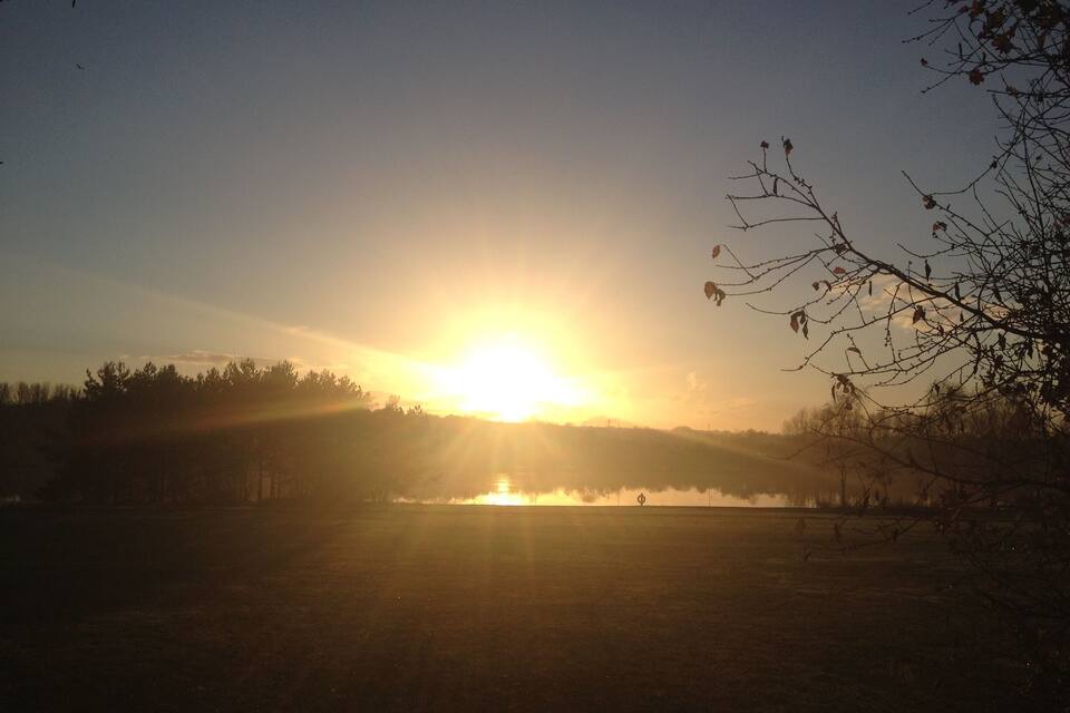 Amanecer sobre un lago con árboles en primer plano y colinas al fondo.