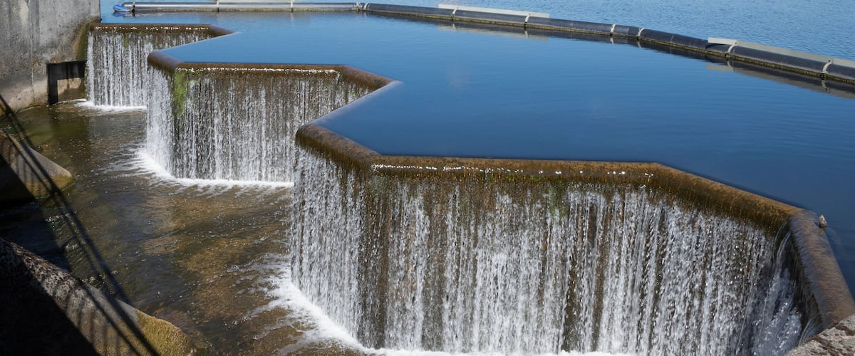 A dam with multiple spillways releasing water into a calm river.