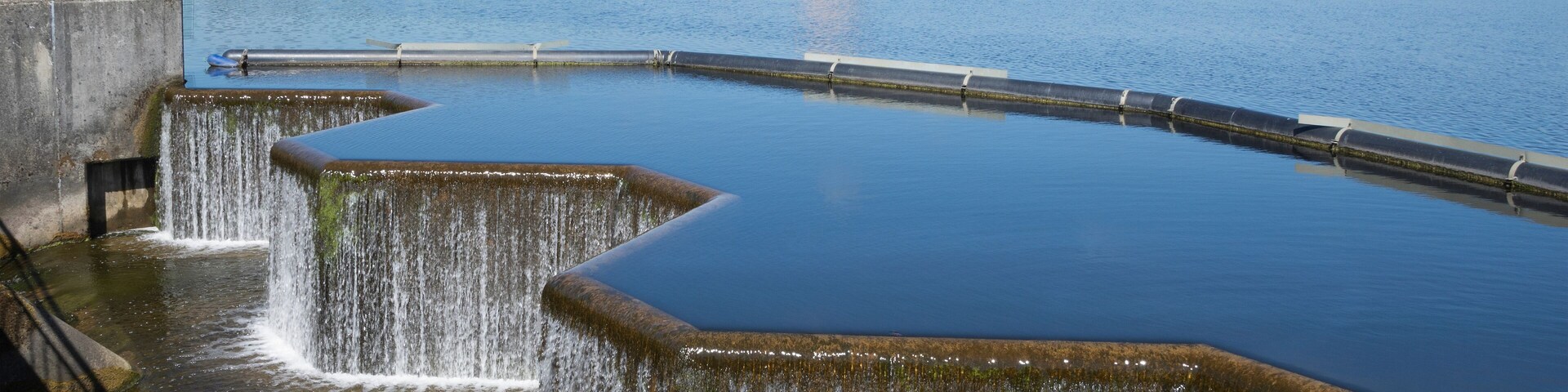 A dam with multiple spillways releasing water into a calm river.