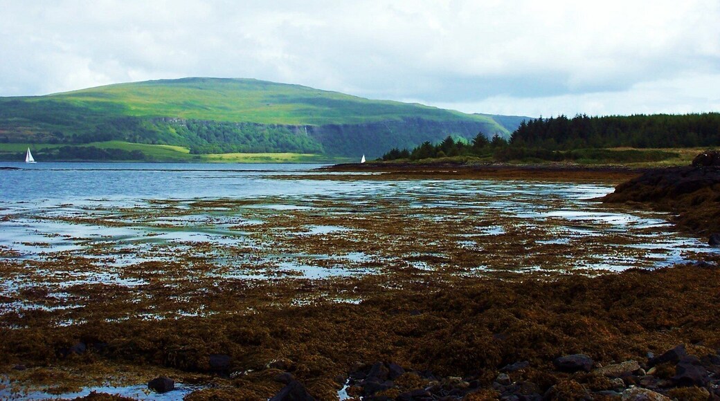 Craignure harbour