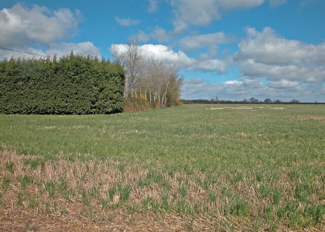 Clifton Road farmland