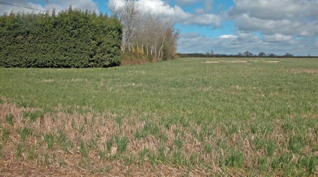 Clifton Road farmland