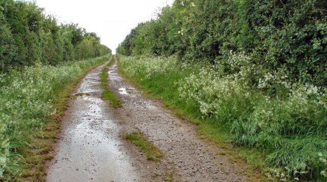 Footpath from Earl's Lane This track leads to a field of cows and not much else!
