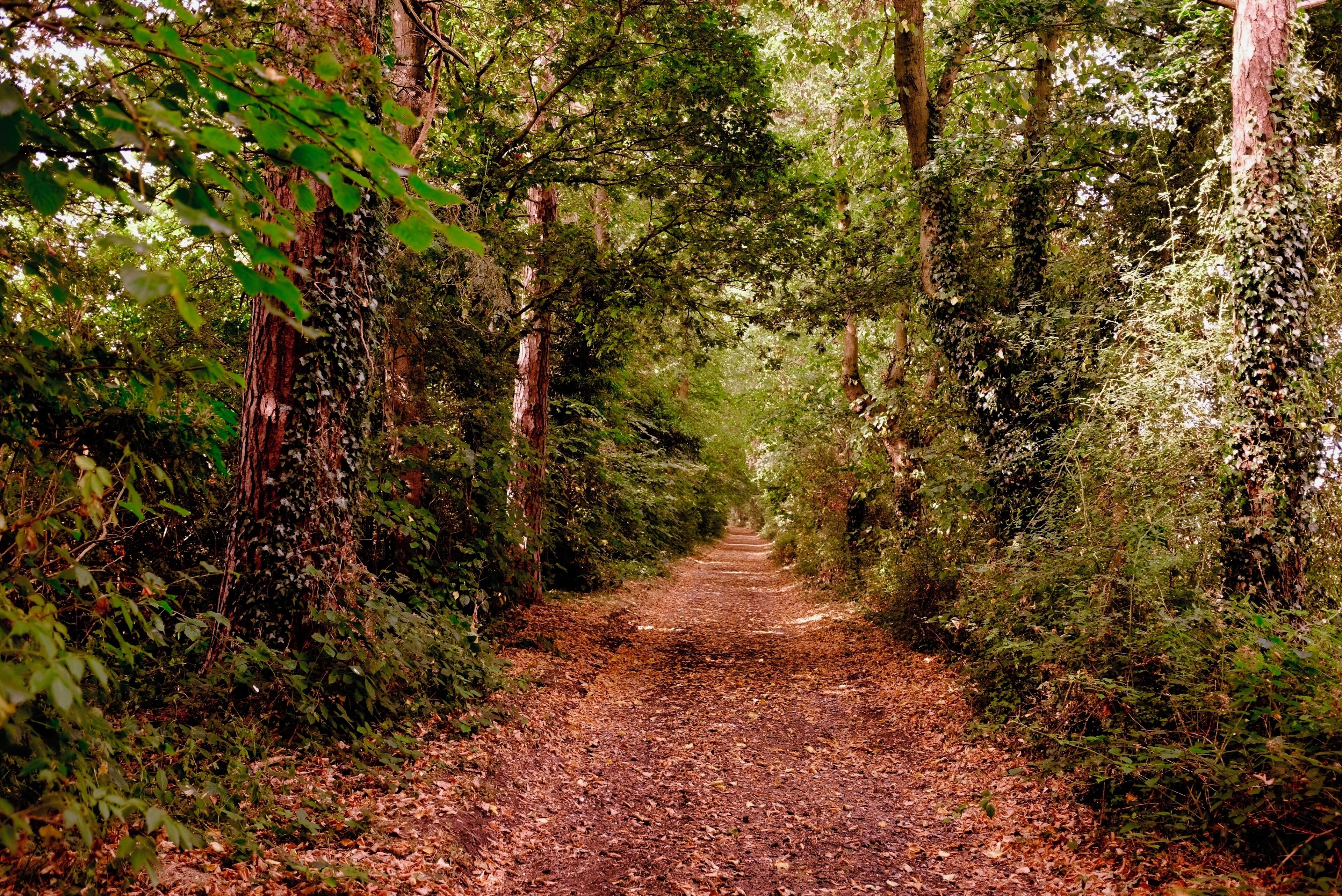 Along country lane and just makes you want to find what is at the end.