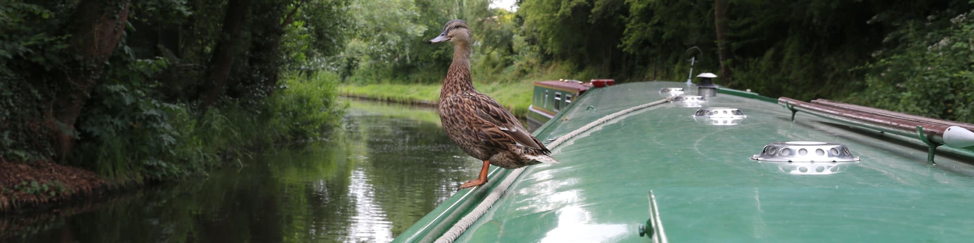Hockley Heath, Solihull, UK