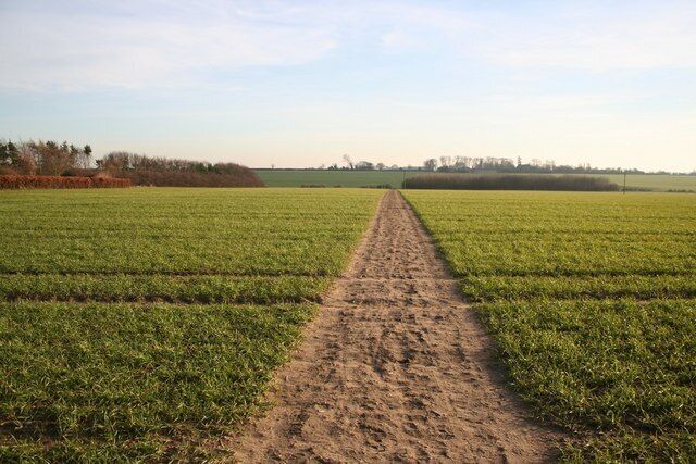 Footpath to Langton Footpath across the fields to Langton from Thimbleby