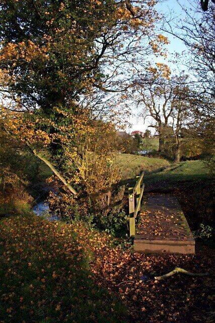 Footbridge near Salmonby Lake