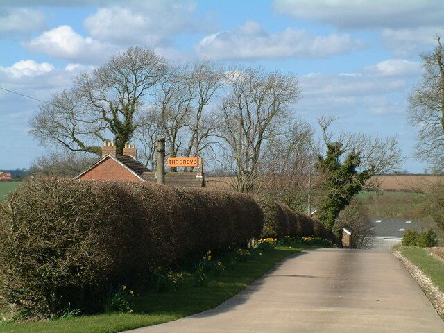A rural road named 'The Grove' with a signpost, hedges, and trees.