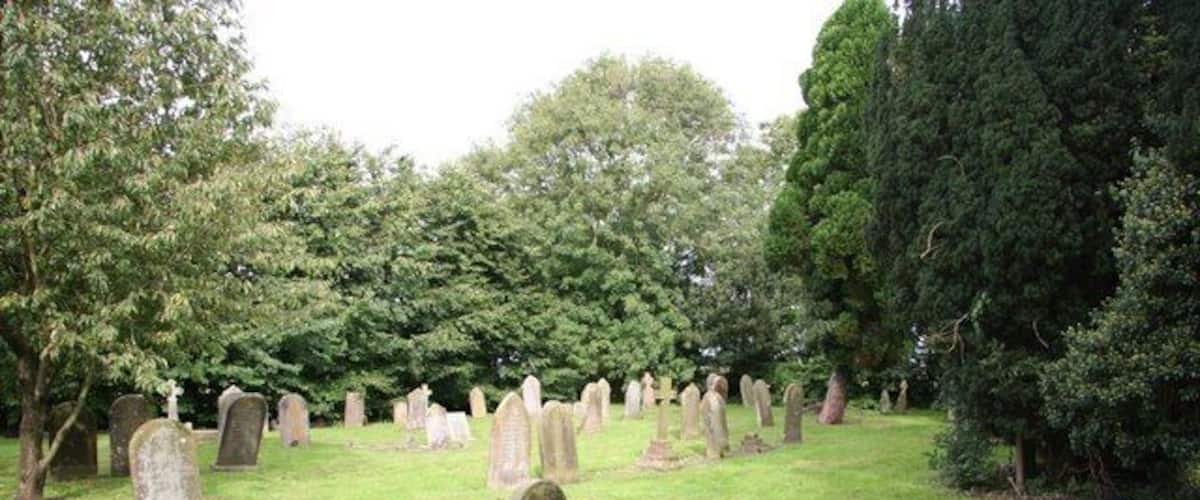 A cemetery with numerous headstones and trees.