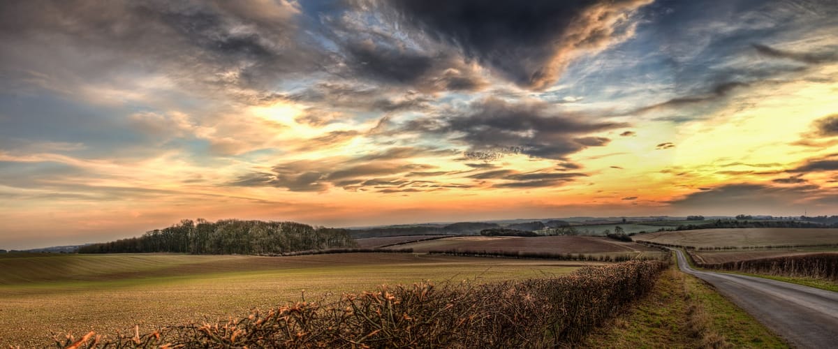 Panoramic Wolds