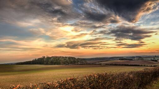 Panoramic Wolds