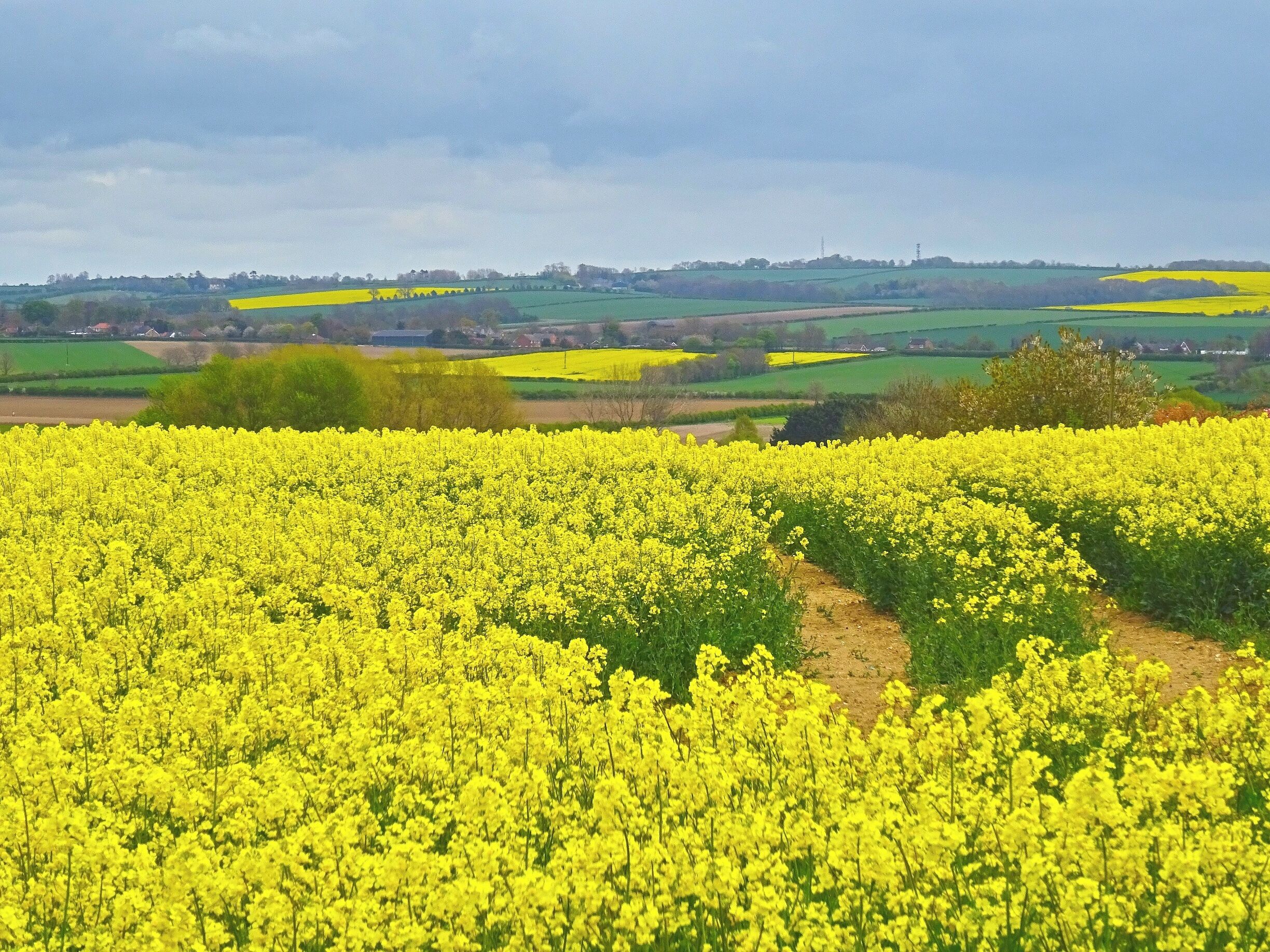 Took a little walk out into the countryside. I love this time of year- shame about the weather though! 