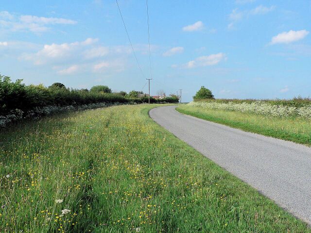 Green Lane Green Lane, near Hemingby. The house on the horizon lies on the edge of the grid square.