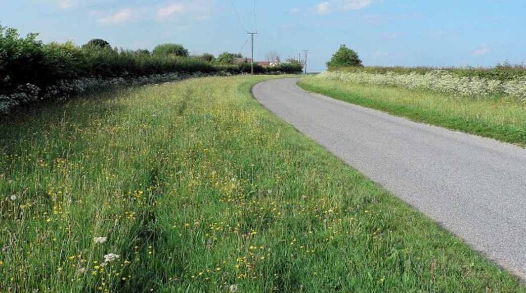 Green Lane Green Lane, near Hemingby. The house on the horizon lies on the edge of the grid square.
