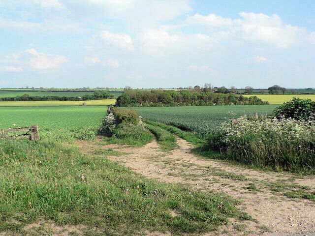 Copse Off Green Lane