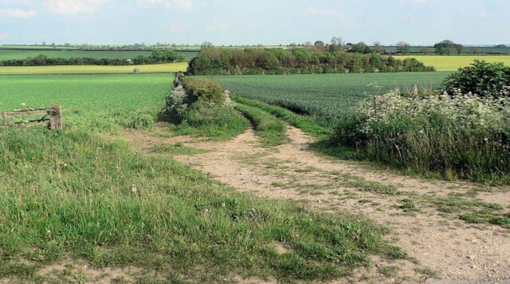 Copse Off Green Lane