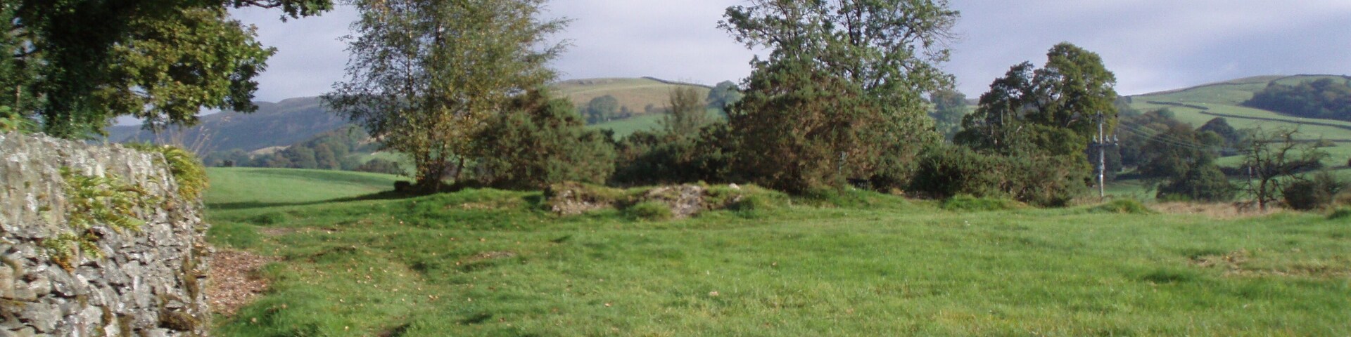 A rural landscape with a stone wall, grassy field, trees, and rolling hills in the distance.