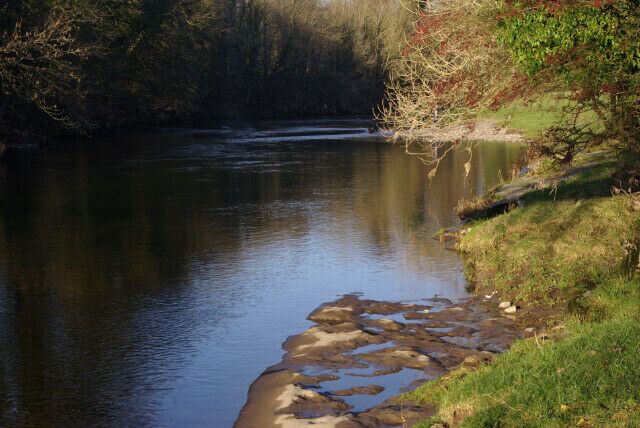 River Kent, Wilson Place Looking upstream from close to the pedestrian suspension bridge.