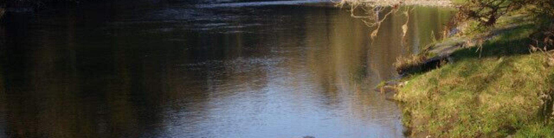 Un río de aguas tranquilas, rodeado de árboles y orillas cubiertas de hierba.