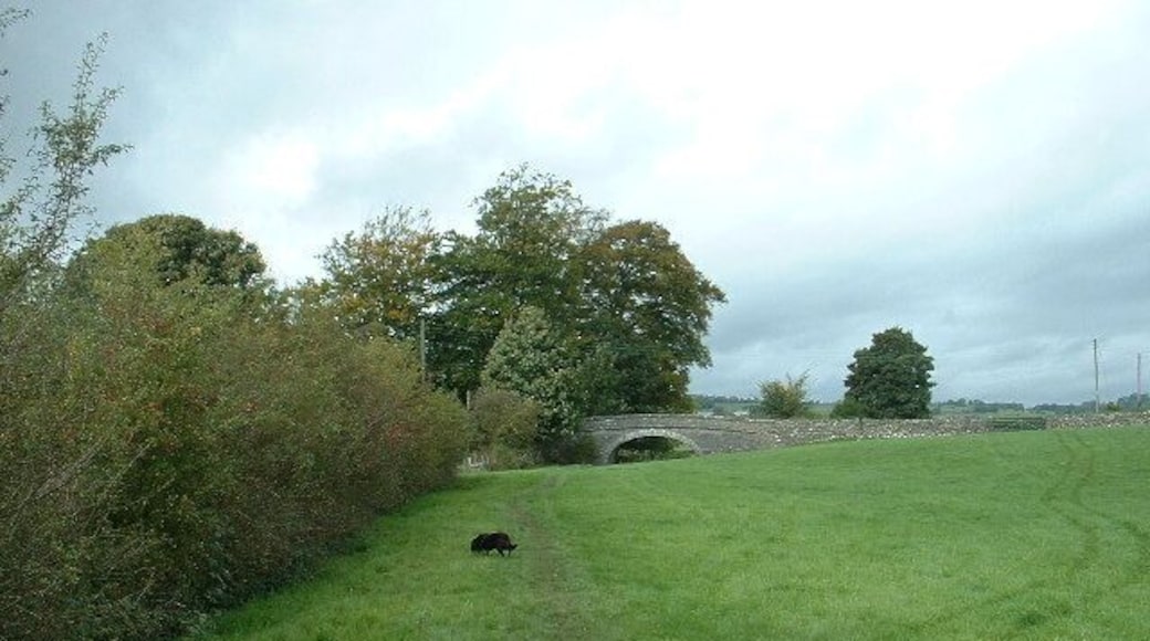 Crowpark Bridge. On the disused Lancaster Canal near Kendal. It's difficult to imagine that this 'normal' part of a farm field was once a major waterway. There is no water in the canal between Hincaster tunnel and Kendal with many sections, such as this one, completely filled in.