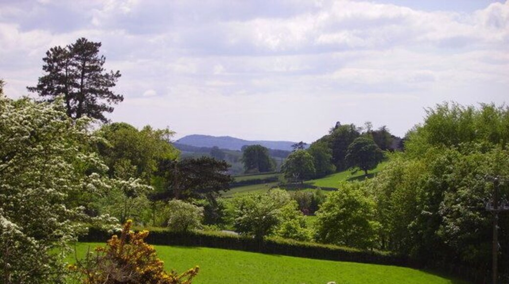 A delightful early summer view Taken from close to High Wells