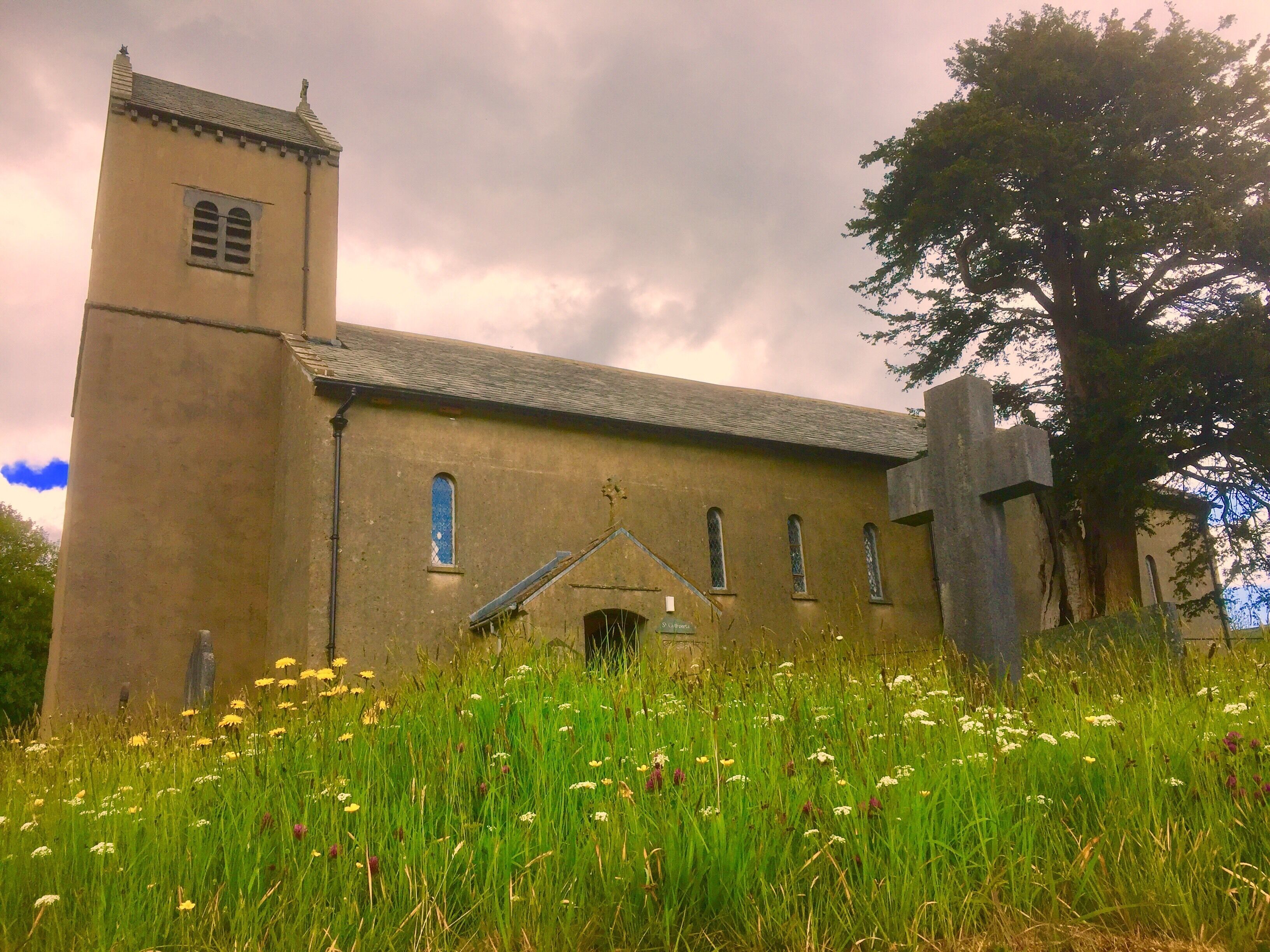 Just as the rain arrived! The churchyard is left unmown to encourage wildflowers.