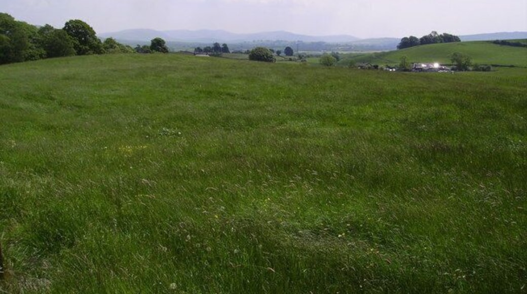 Meadow, Selside. Looking towards the Howgills.