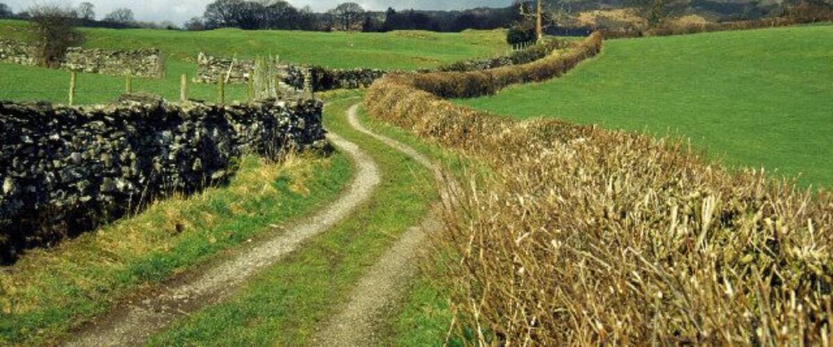 A rural landscape with a winding dirt path, stone walls, and fields of crops.