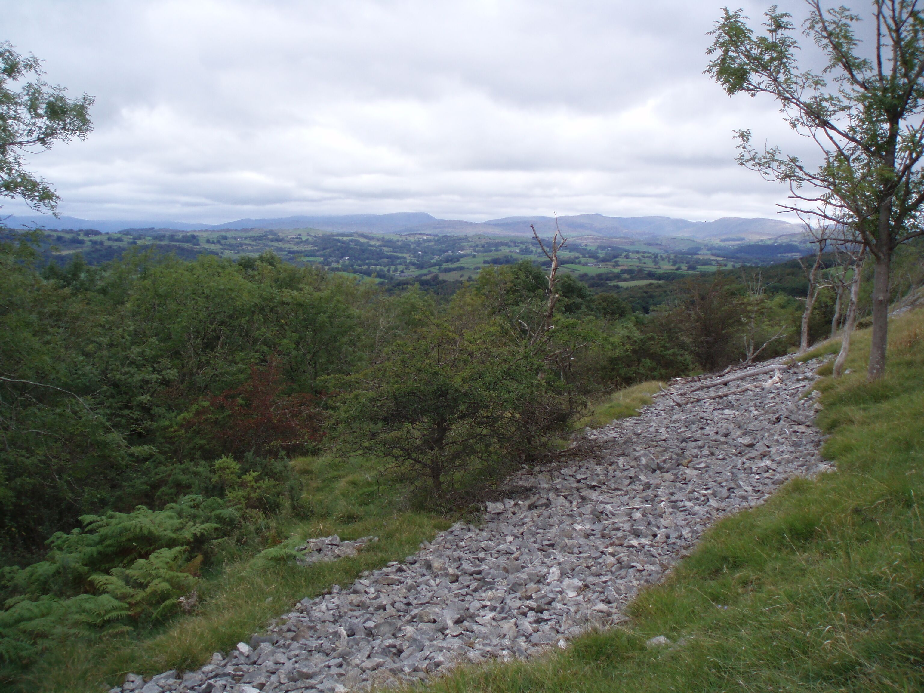 A rocky path through a forest with a view of distant hills.