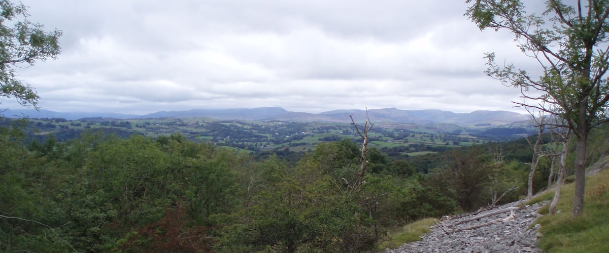 A rocky path through a forest with a view of distant hills.