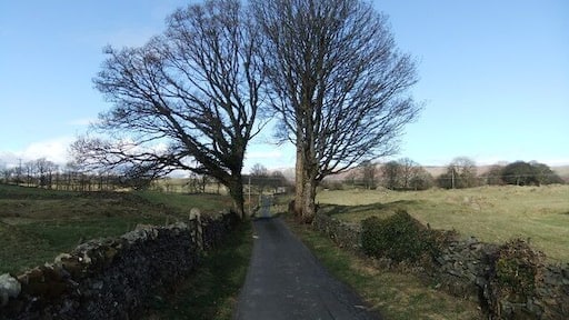 Capplerigg Lane