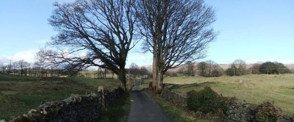 A rural road flanked by stone walls and a large leafless tree.