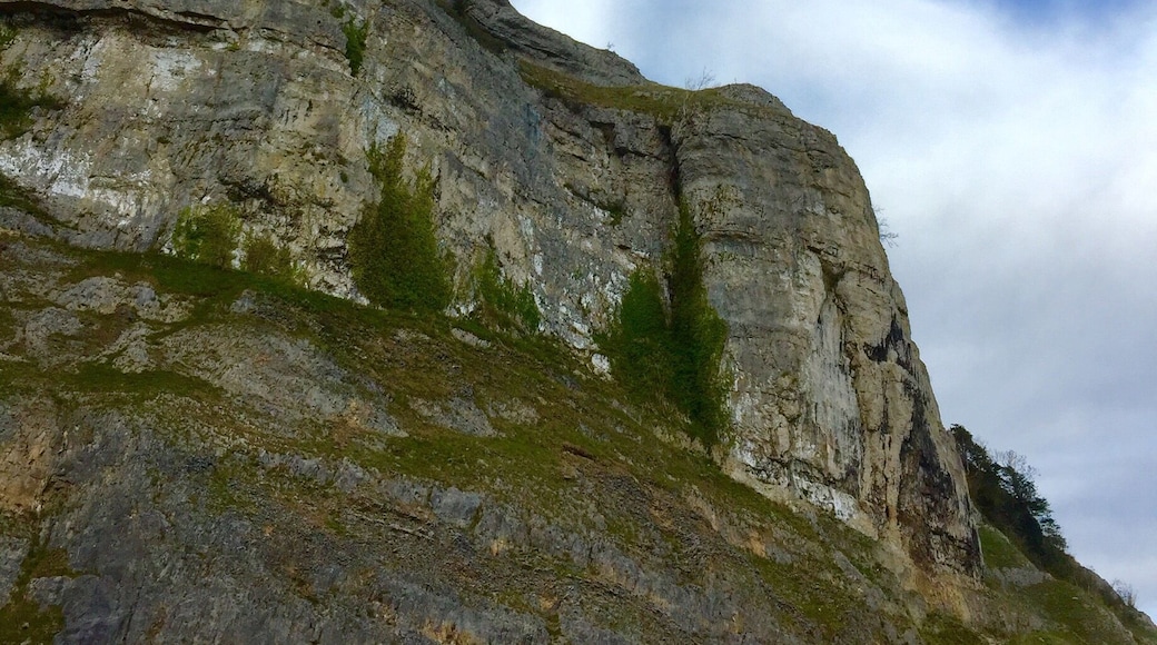 From the old quarry below the scar
