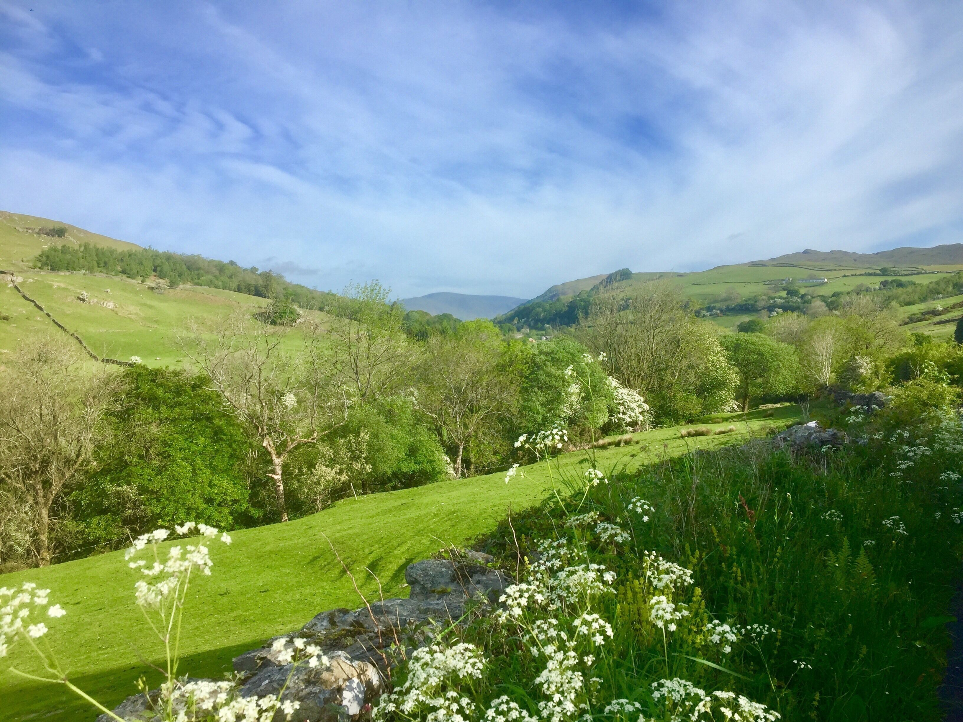 Top rated places to stay in Kendal for families
