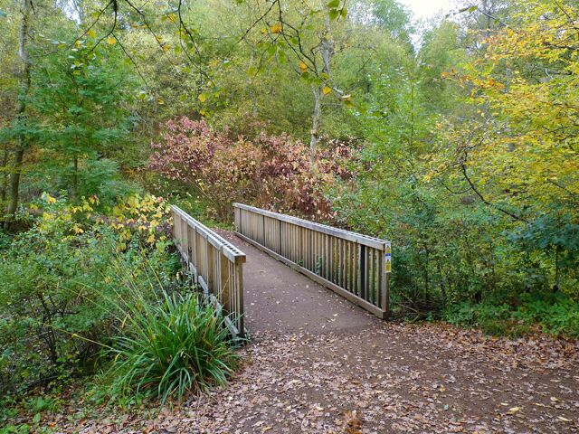 The Footbridge, Stockgrove Park This is a good spot in the park to feed and photograph the wildlife, especially birds but also brown rats, grey squirrels and bank voles.