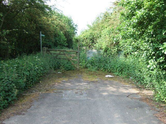 A rural road with a wooden gate, surrounded by dense greenery and trees.