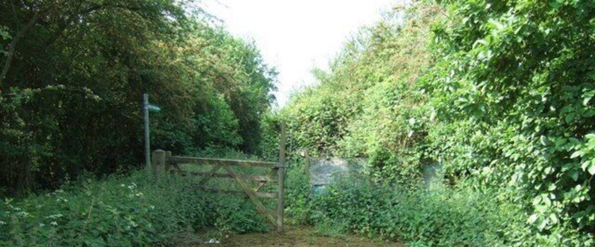 A rural road with a wooden gate, surrounded by dense greenery and trees.