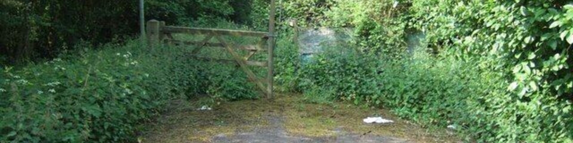 A rural road with a wooden gate, surrounded by dense greenery and trees.