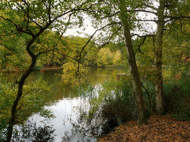 The Lake, Stockgrove Park