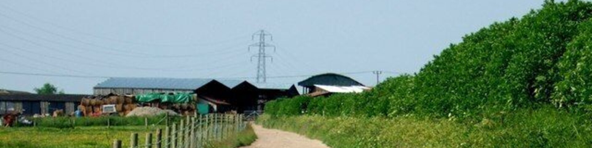 Hill Farm, Hockliffe. Looking along the long straight track to the farm. This track is effectively a continuation of Woodcock Lane (also known as Little Lane).