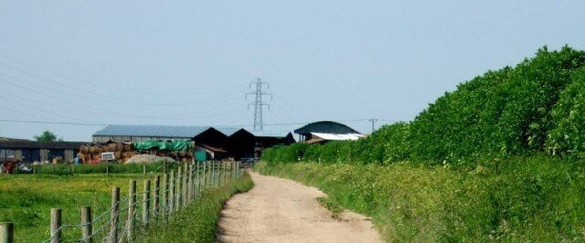 A rural dirt road flanked by greenery and farm buildings.